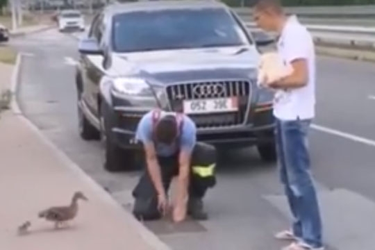 police_help_002.w540