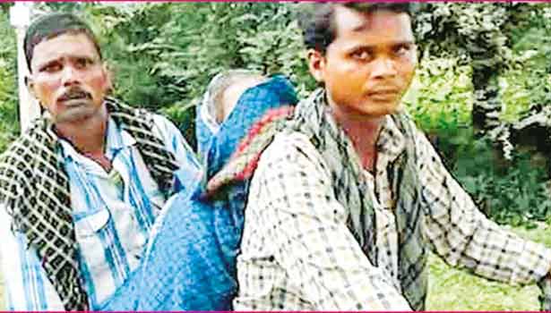 201609010810376522_Madhya-Pradesh-No-ambulance-on-call-sons-carry-woman-body-on_SECVPF