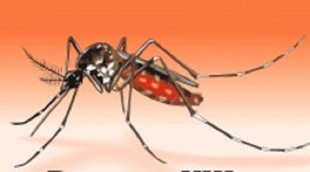 625.117.560.350.160.300.053.800.210.160.90 (1)