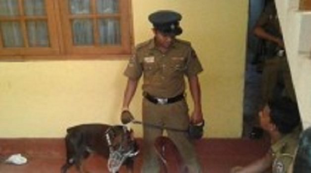 625.117.560.350.160.300.053.800.210.160.90