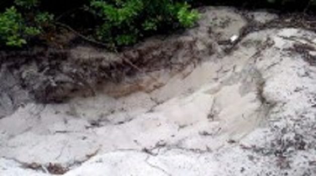 625.117.560.350.160.300.053.800.210.160.90