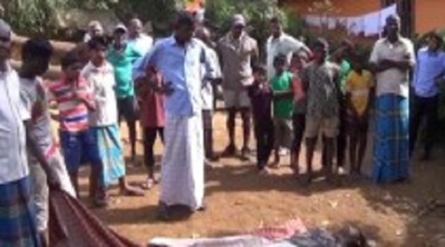 625.117.560.350.160.300.053.800.210.160.90 (2)