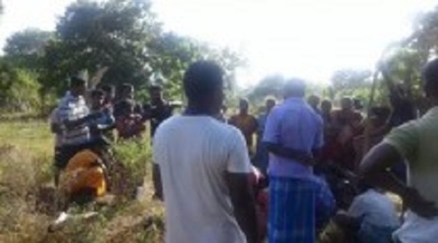 625-117-560-350-160-300-053-800-210-160-90-2