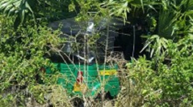 625.117.560.350.160.300.053.800.210.160.90 (3)