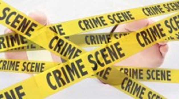 625.117.560.350.160.300.053.800.210.160.90 (3)