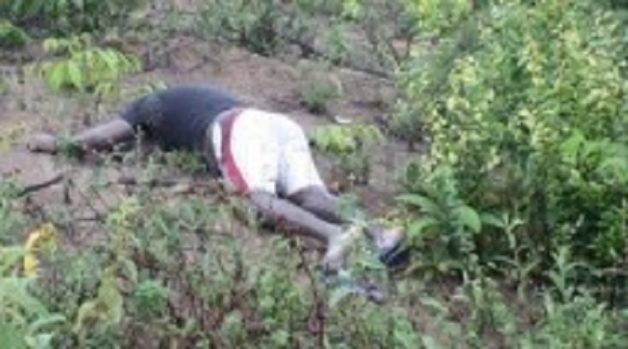 625.117.560.350.160.300.053.800.210.160.90 (4)