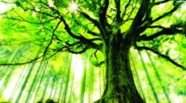 625.117.560.350.160.300.053.800.210.160.90 (5)