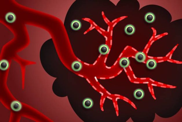 625.500.560.350.160.300.053.800.748.160.70