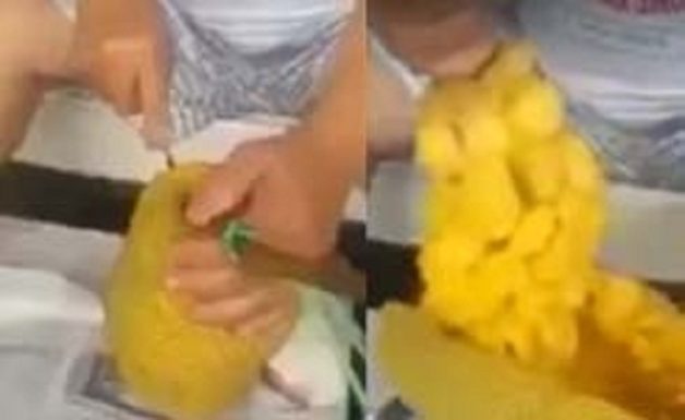 jackfruit_cutting_001-w245