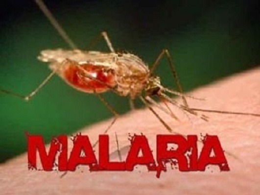 மலேரியா-300x225