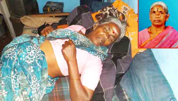 201610221707304281_elephant-kills-woman-in-shock-near-valparai_secvpf