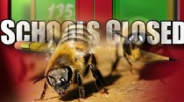 625-117-560-350-160-300-053-800-210-160-90-1