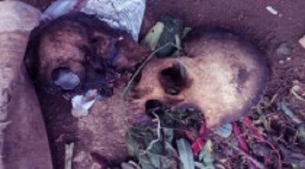 625-117-560-350-160-300-053-800-210-160-90-1