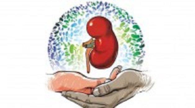 625-117-560-350-160-300-053-800-210-160-90