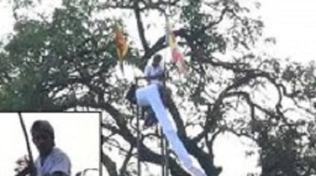 625-117-560-350-160-300-053-800-210-160-90-2