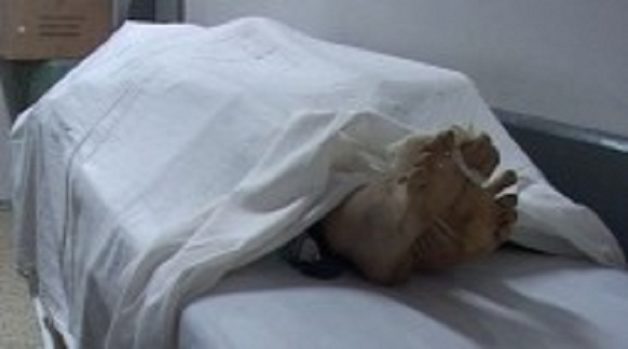 625-117-560-350-160-300-053-800-210-160-90-2