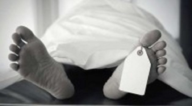 625-117-560-350-160-300-053-800-210-160-90-2