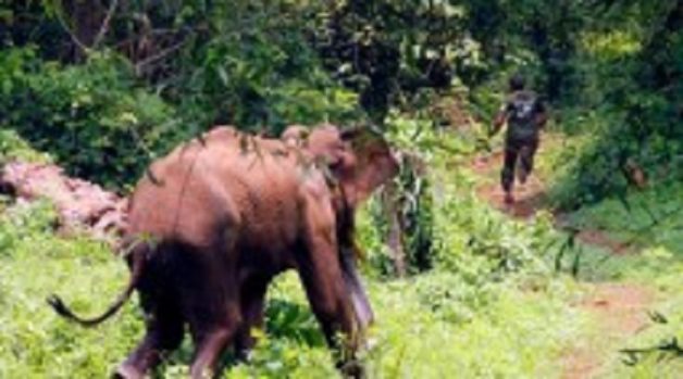 625-117-560-350-160-300-053-800-210-160-90-2