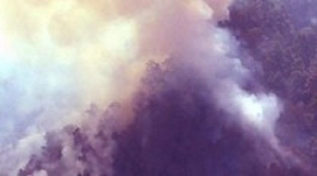 625-117-560-350-160-300-053-800-210-160-90-3