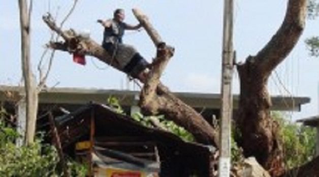 625-117-560-350-160-300-053-800-210-160-90-3