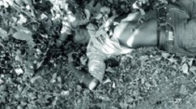 625-117-560-350-160-300-053-800-210-160-90