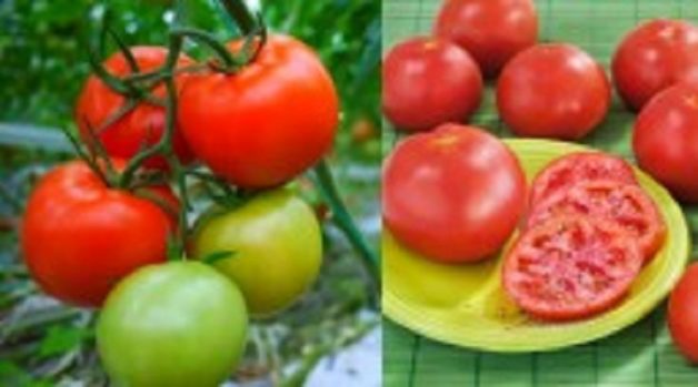 625-117-560-350-160-300-053-800-210-160-90-8