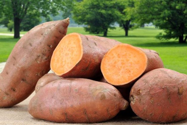 625-500-560-350-160-300-053-800-748-160-70