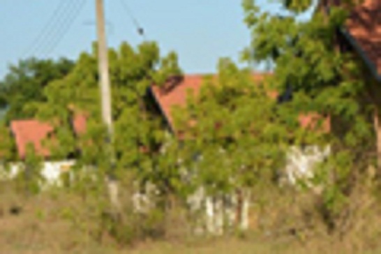 article_1476275009-unnamed