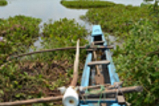 article_1476852585-kuduvil