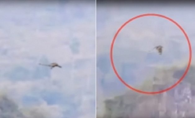 dragon_tape_001-w245