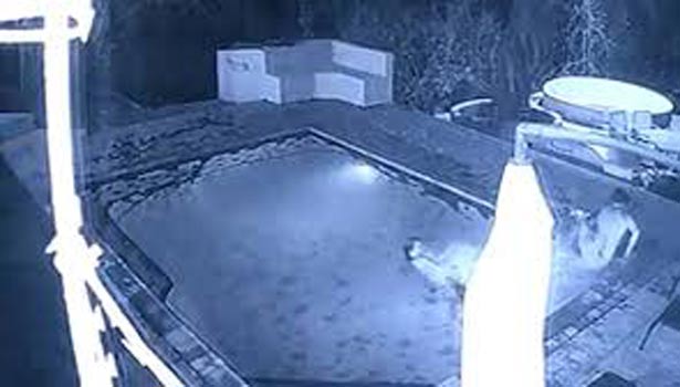 201611011903408931_couple-attacked-by-crocodile-while-swimming-in-hotel-pool_secvpf