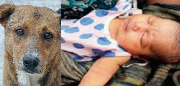 625-0-560-320-500-400-194-800-668-160-90