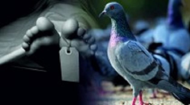 625-117-560-350-160-300-053-800-210-160-90-1