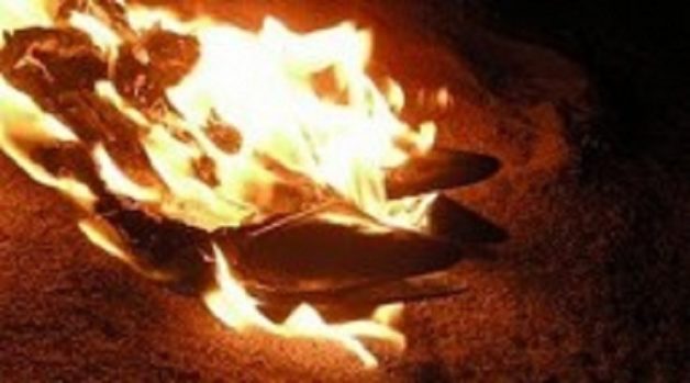 625-117-560-350-160-300-053-800-210-160-90-1