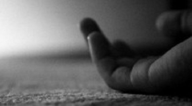 625-117-560-350-160-300-053-800-210-160-90-1