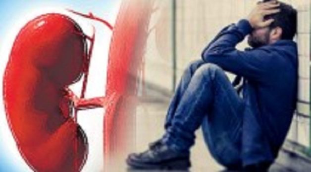 625-117-560-350-160-300-053-800-210-160-90-3