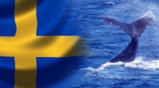 625-117-560-350-160-300-053-800-210-160-90