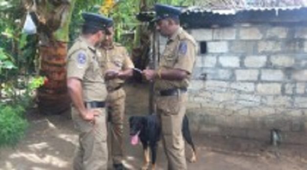 625-117-560-350-160-300-053-800-210-160-90-4