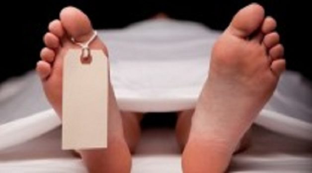 625-117-560-350-160-300-053-800-210-160-90-5