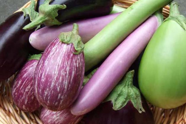 625-500-560-350-160-300-053-800-748-160-70-2