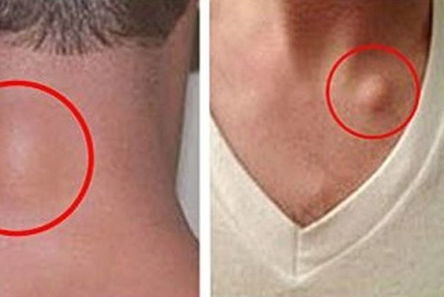 625-500-560-350-160-300-053-800-748-160-70-2