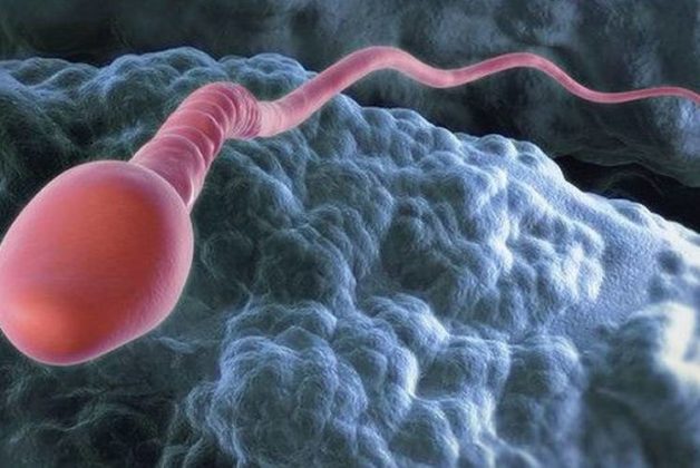 625-500-560-350-160-300-053-800-748-160-70-2