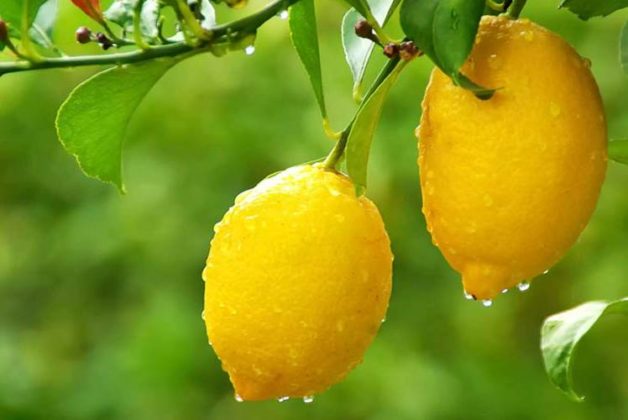 625-500-560-350-160-300-053-800-748-160-70-3