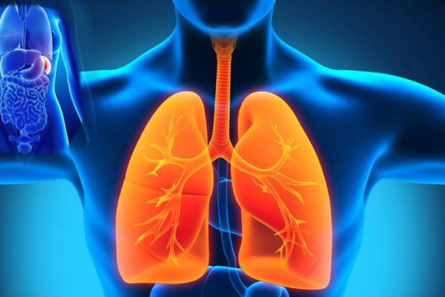 625-500-560-350-160-300-053-800-748-160-70-4