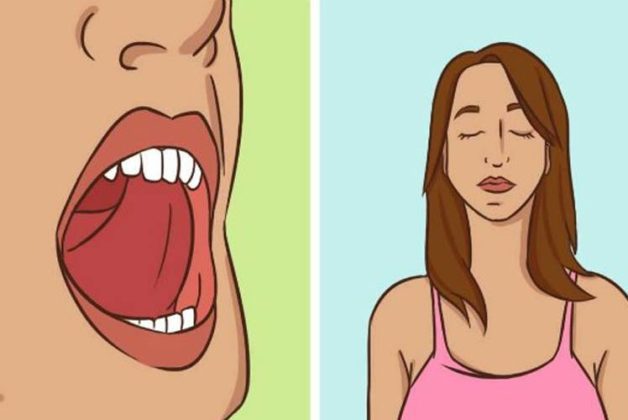 625-500-560-350-160-300-053-800-748-160-70-4