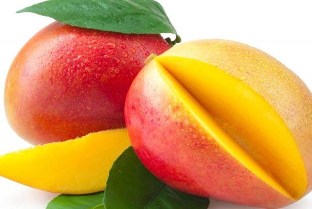 625-500-560-350-160-300-053-800-748-160-70