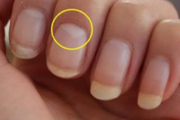 625-500-560-350-160-300-053-800-748-160-70-6