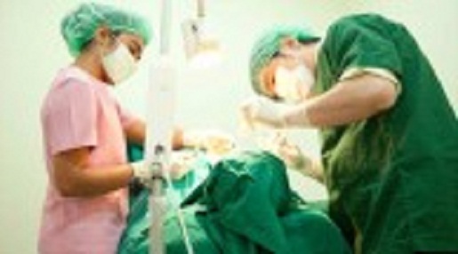 625-89-560-350-160-300-053-800-160-160-90