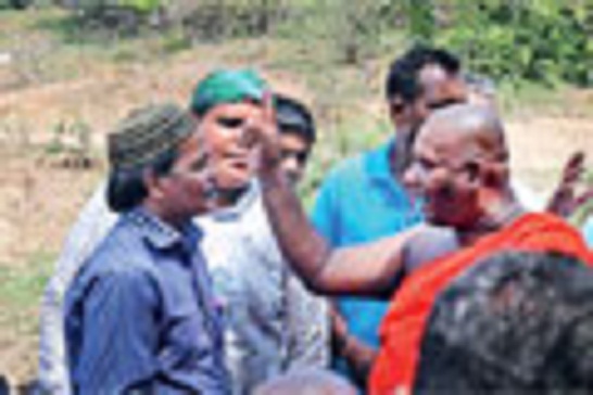 article_1479184107-mb