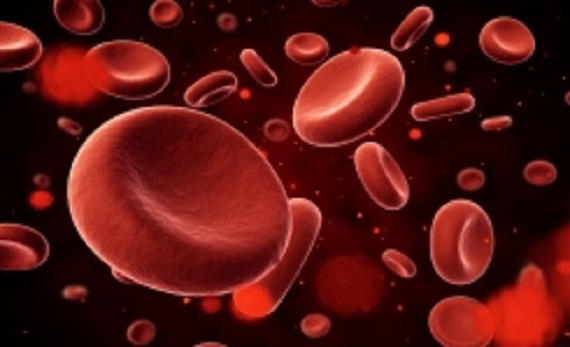 blood_cell_001-w245